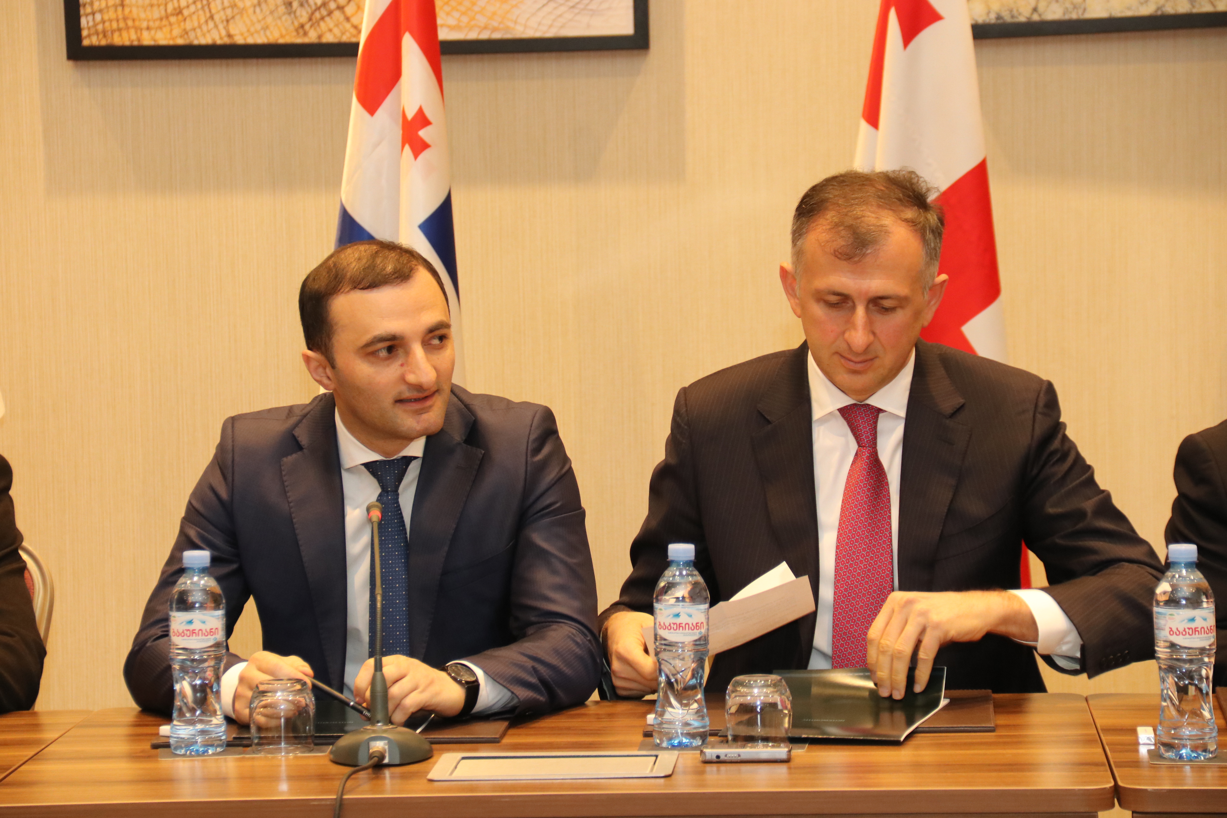 სამუშაო შეხვედრა  საკონსტიტუციო ცვლილებებთან დაკავშირებით