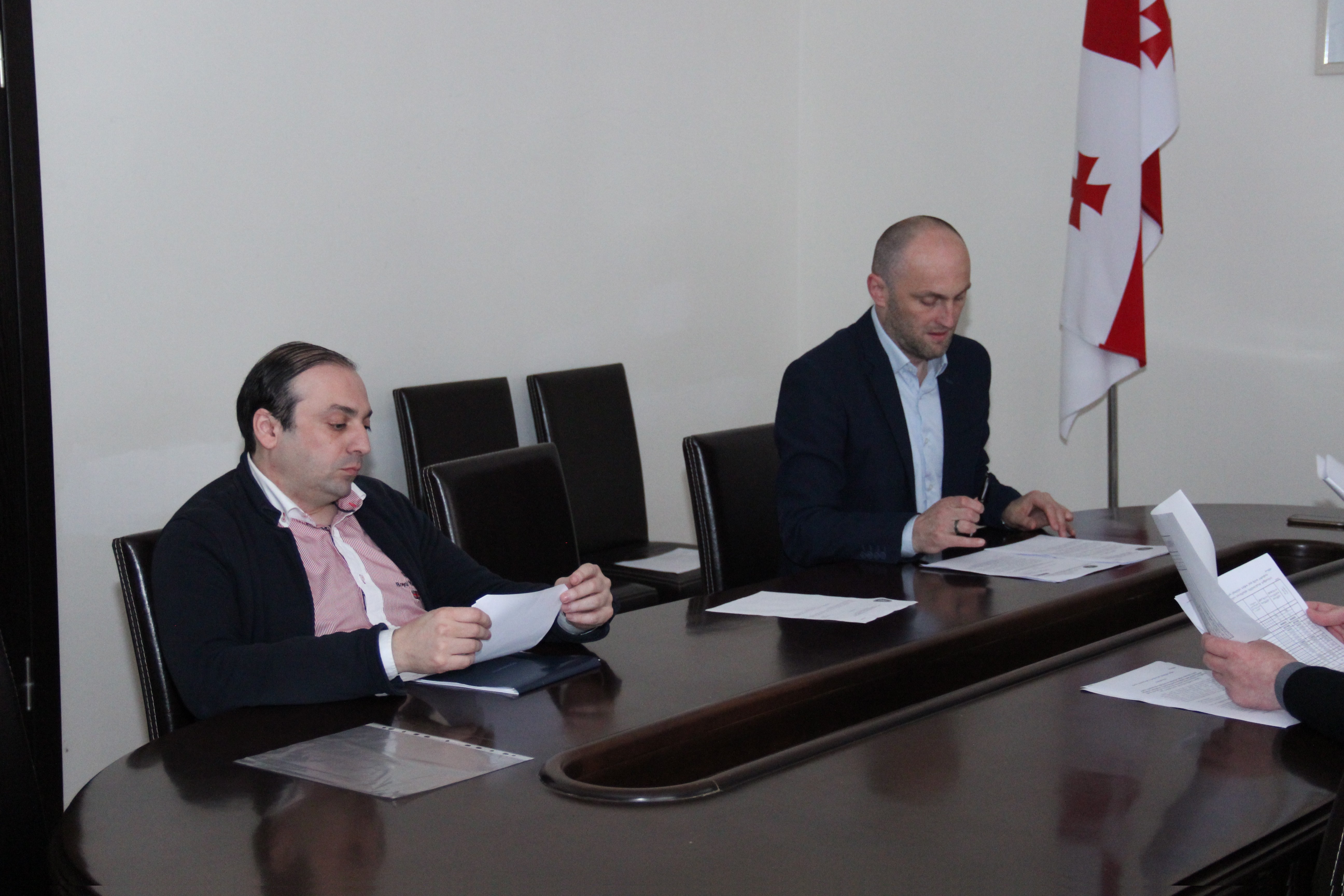        კომისიამ სამ საკითხზე იმსჯელა