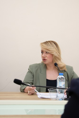 საფინანსო-საბიუჯეტო და ეკონომიკურ საკითხთა კომიტეტის სხდომა