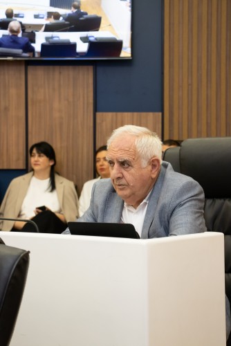 უმაღლეს საბჭოში, „მინისტრის საათის“ ფორმატში ნინო ნიჟარაძეს მოუსმინეს