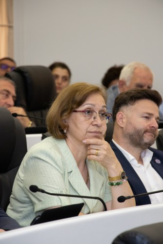 უმაღლეს საბჭოში აჭარის მთავრობის თავმჯდომარეს მოუსმინეს