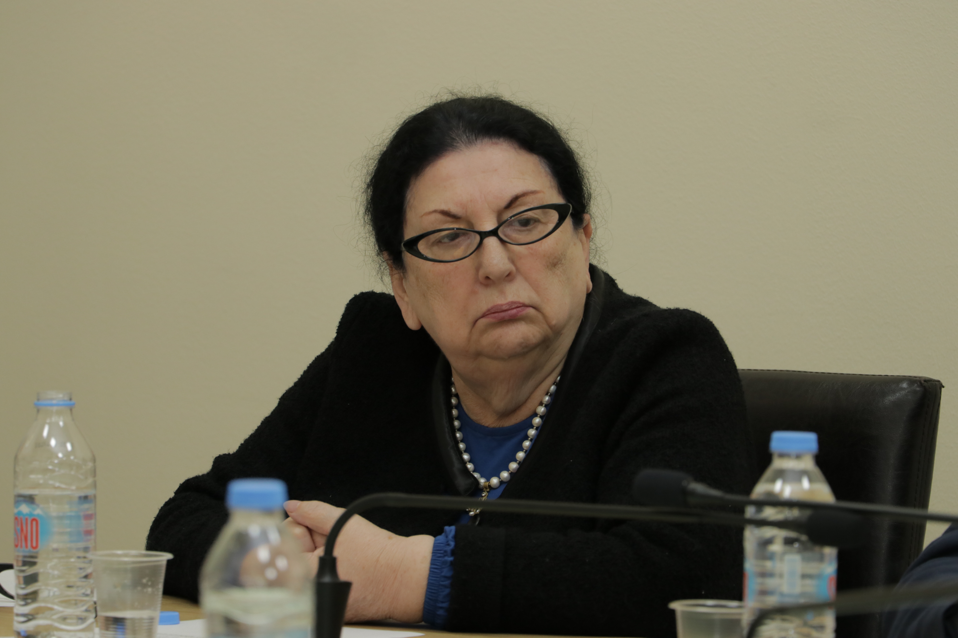 საკონსტიტუციო, იურიდიულ და საპროცედურო საკითხთა და ადამიანის უფლებათა დაცვის საკითხთა კომიტეტების ერთობლივი სხდომა