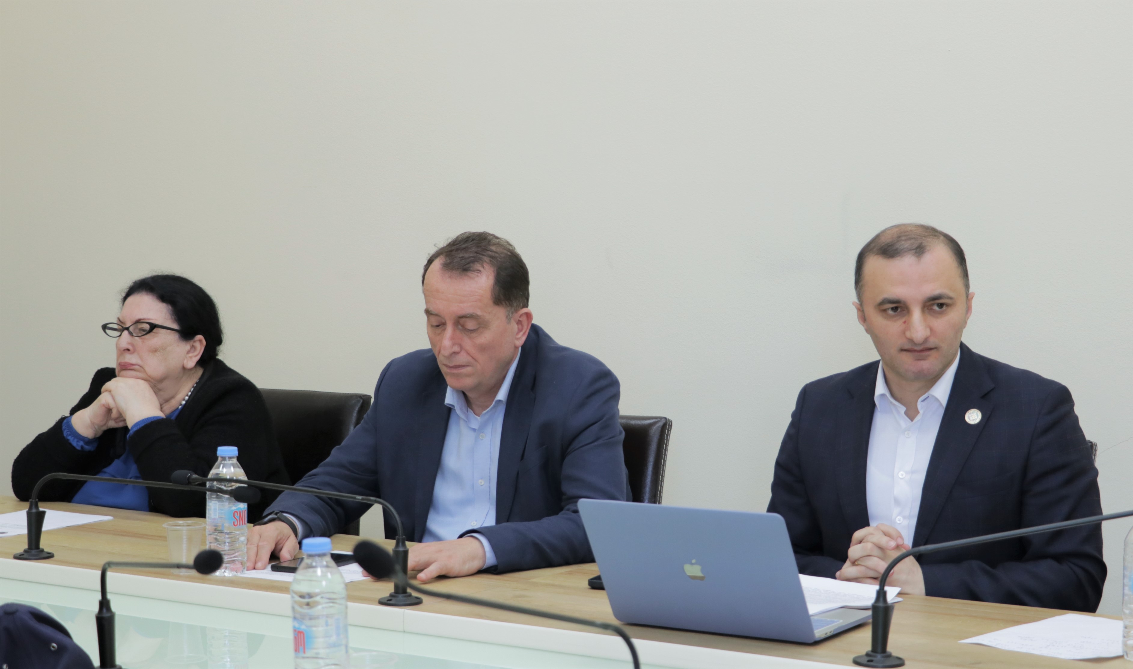 საკონსტიტუციო, იურიდიულ და საპროცედურო საკითხთა კომიტეტის სხდომა