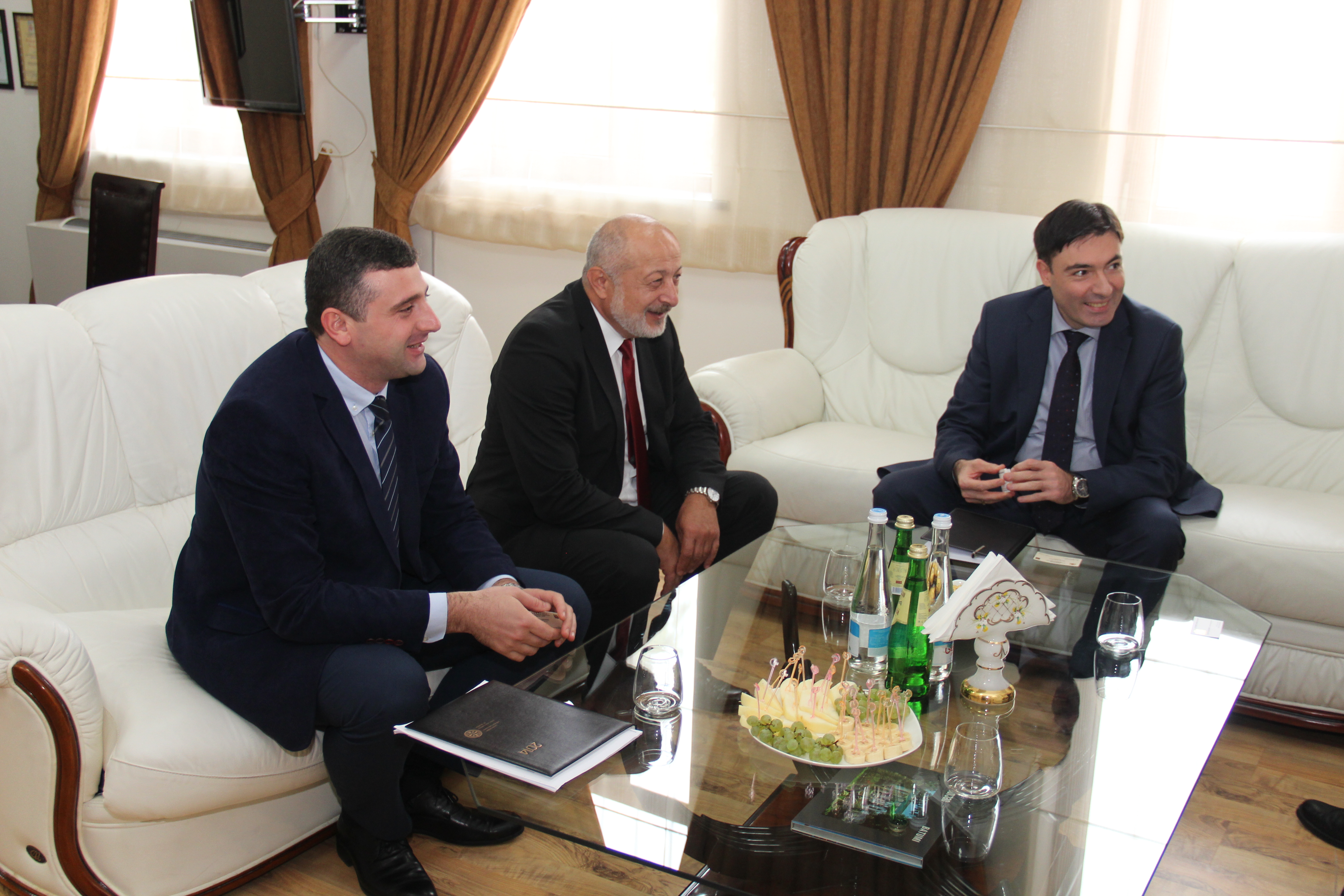 შეხვედრა უმაღლეს საბჭოში