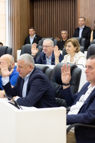 რიგგარეშე პლენარული სხდომა