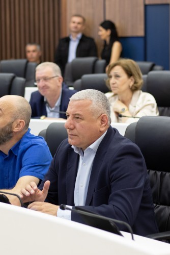 რიგგარეშე პლენარული სხდომა