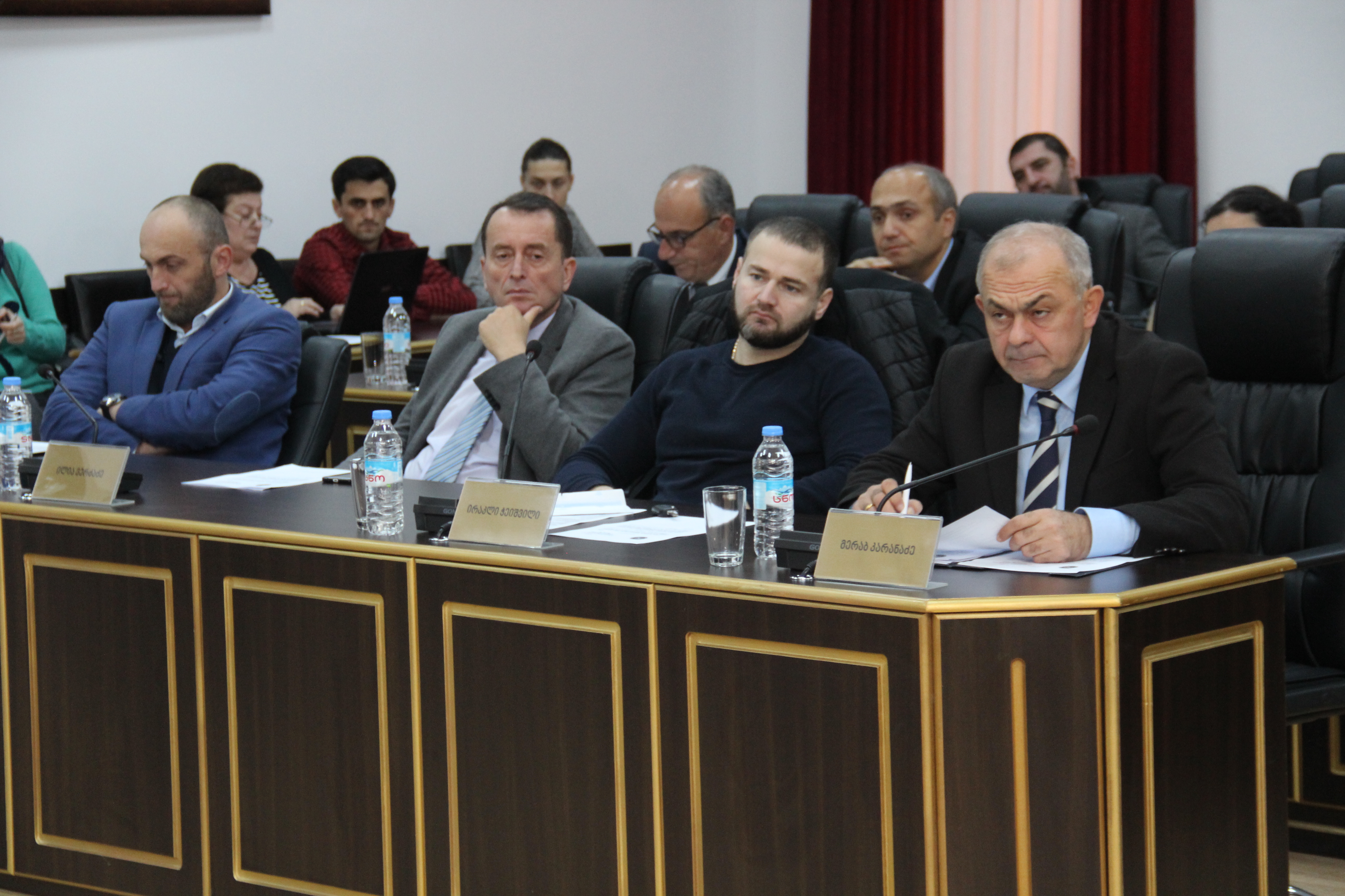 რეგლამენტში ცვლილებას პლენარულ სხდომაზე განიხილავენ 