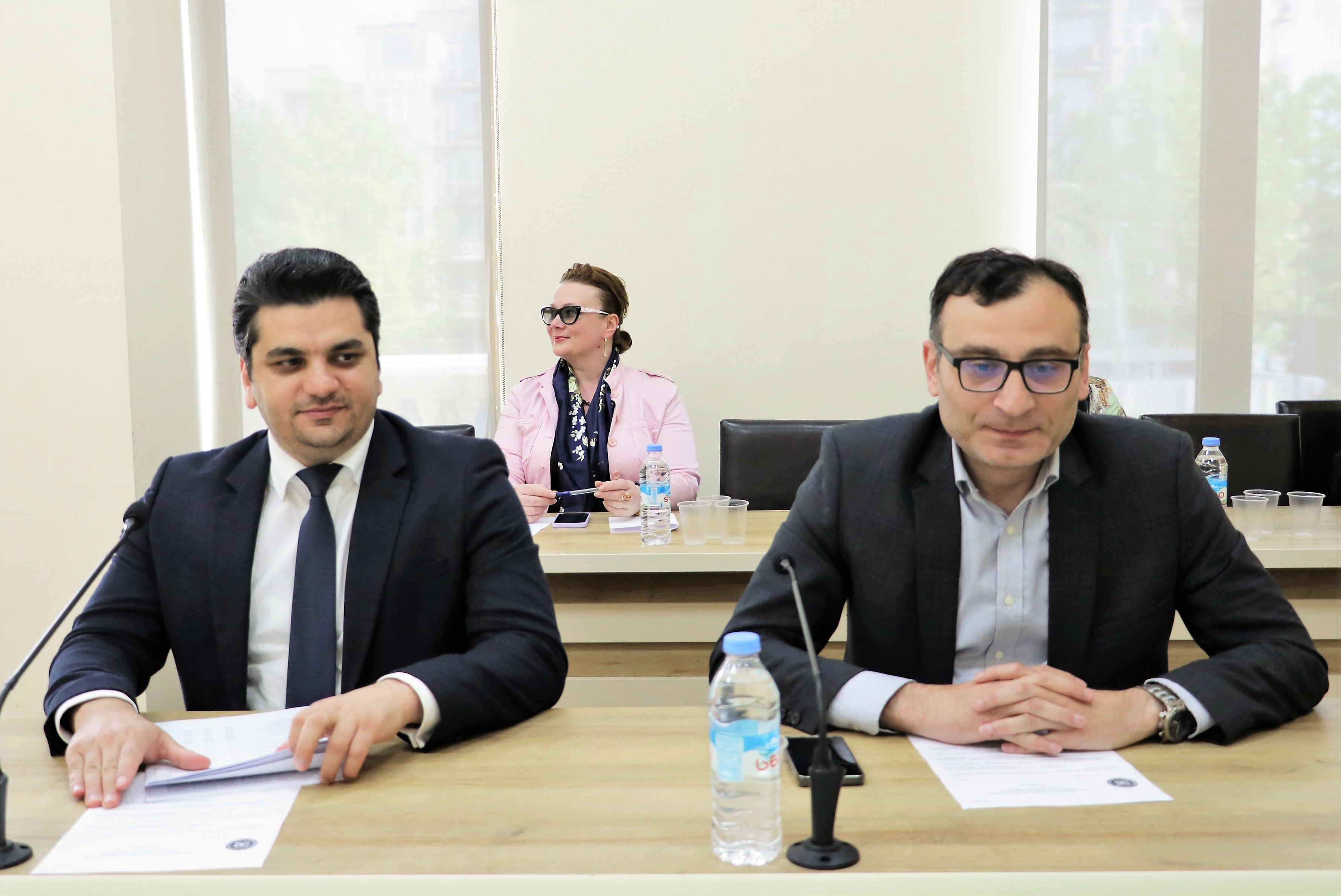 საფინანსო-საბიუჯეტო და ეკონომიკურ საკითხთა კომიტეტის სხდომა