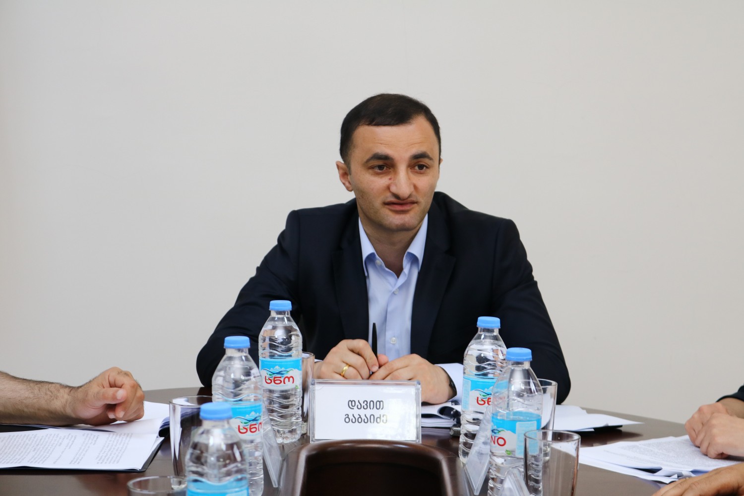 ინიციატივას კომისიებში განიხილავენ