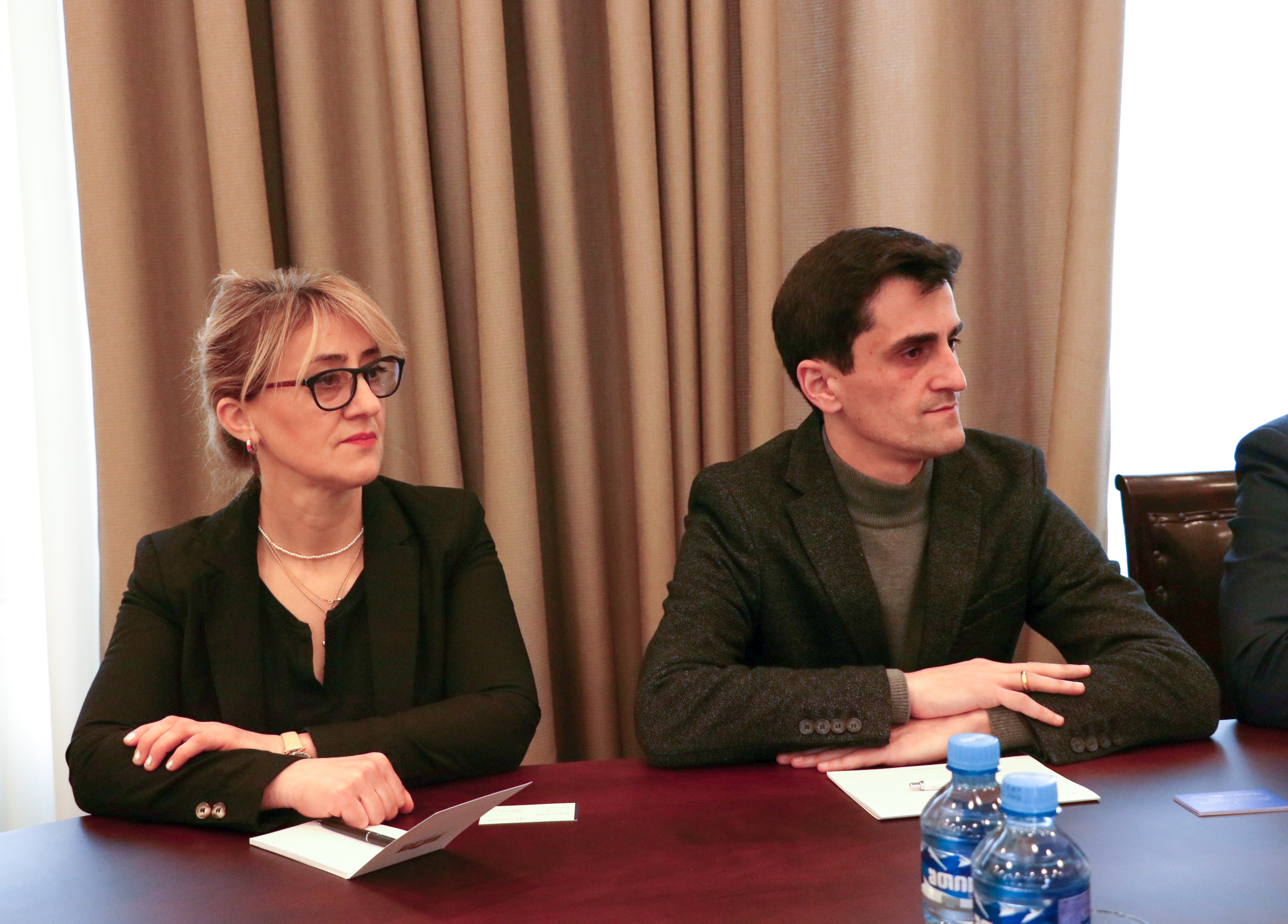 დავით გაბაიძე და ტიტე აროშიძე საარჩევნო სისტემების საერთაშორისო ფონდის (IFES) წარმომადგენლებს შეხვდნენ