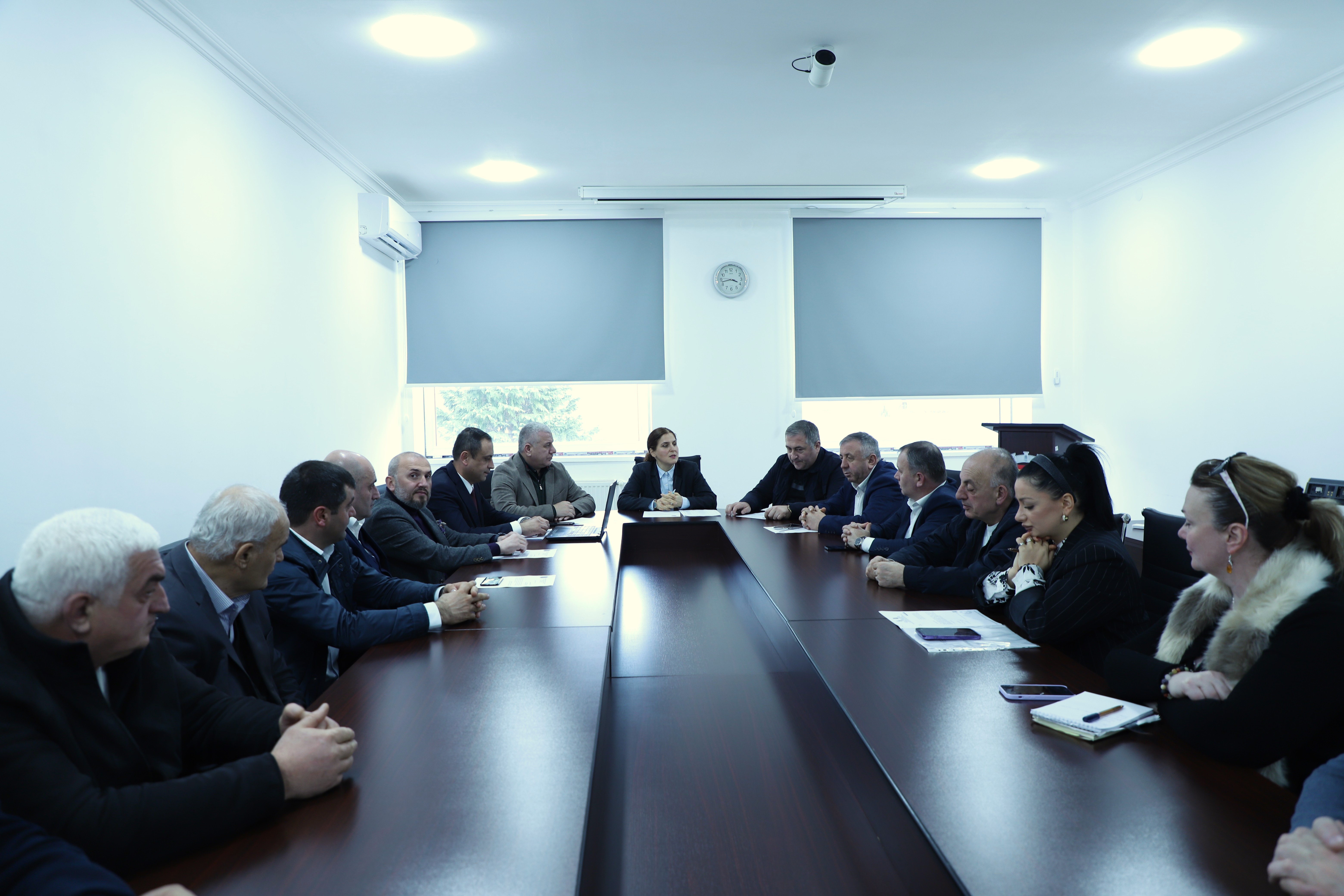 საფინანსო-საბიუჯეტო და ეკონომიკურ საკითხთა კომიტეტის გასვლითი სხდომა