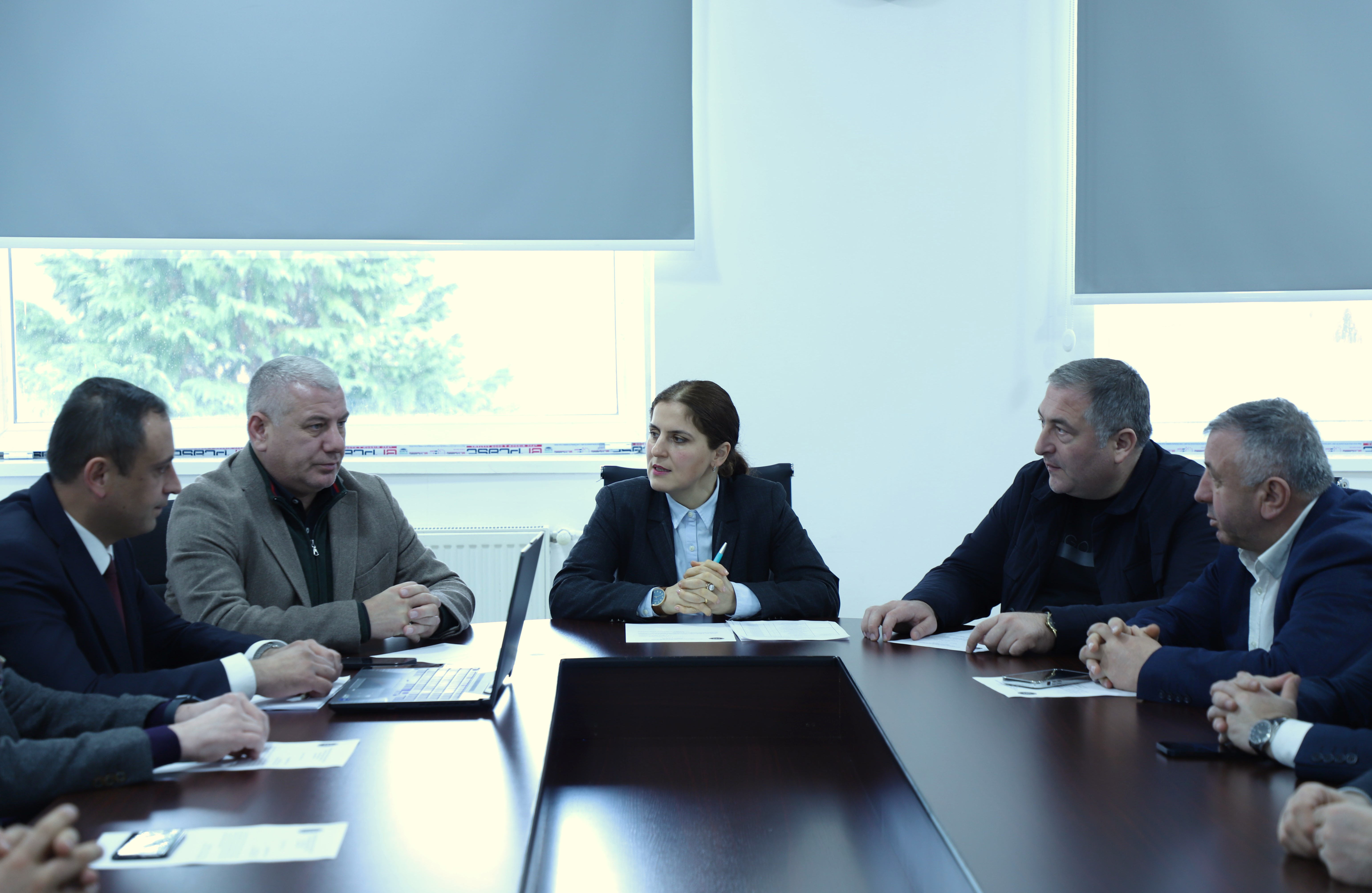 საფინანსო-საბიუჯეტო და ეკონომიკურ საკითხთა კომიტეტის გასვლითი სხდომა