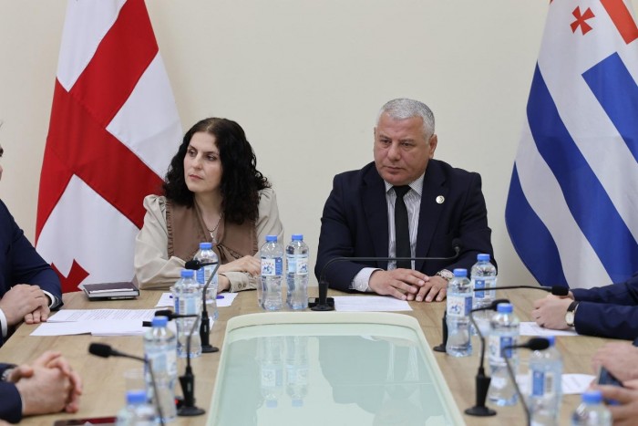 კომიტეტების ერთობლივ სხდომებზე აჭარის მთავრობის შემადგენლობის საკითხი განიხილეს