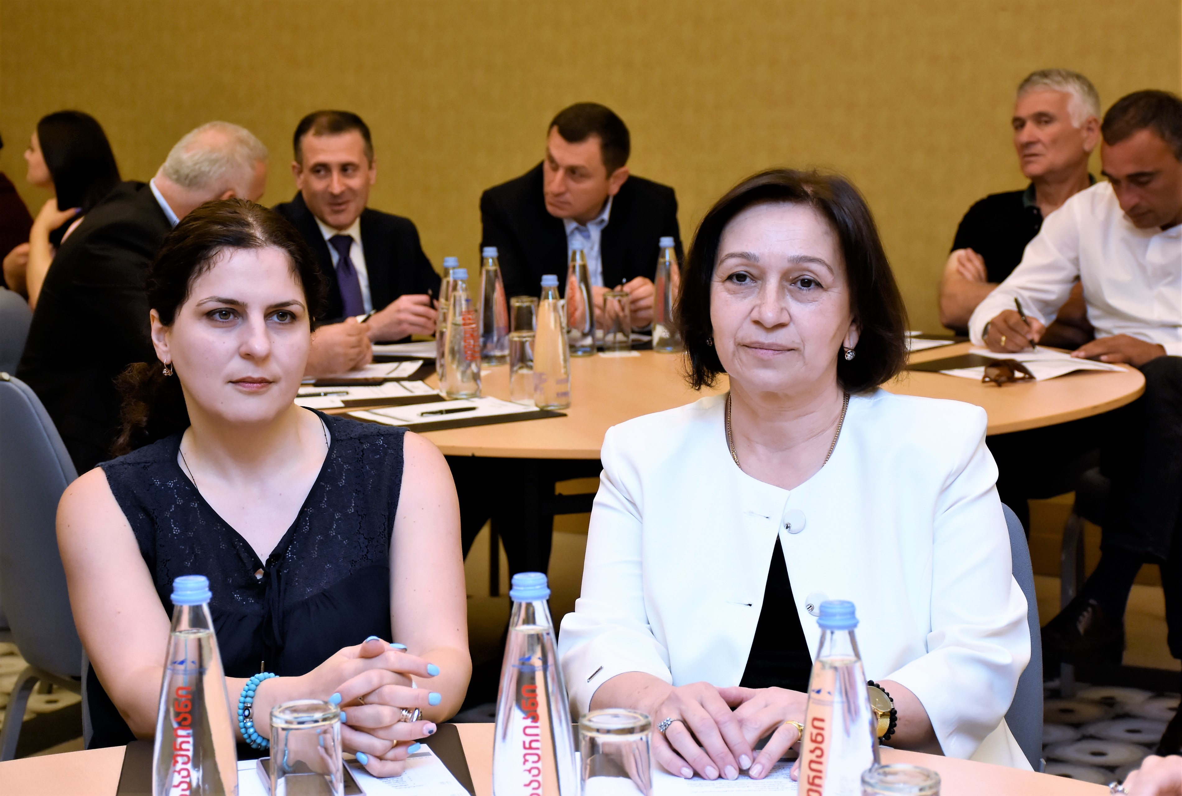 მარინე გვიანიძე და ფატი ხალვაში აგროფორუმში - „ქალები რეგიონისთვის“ მონაწილეობდნენ