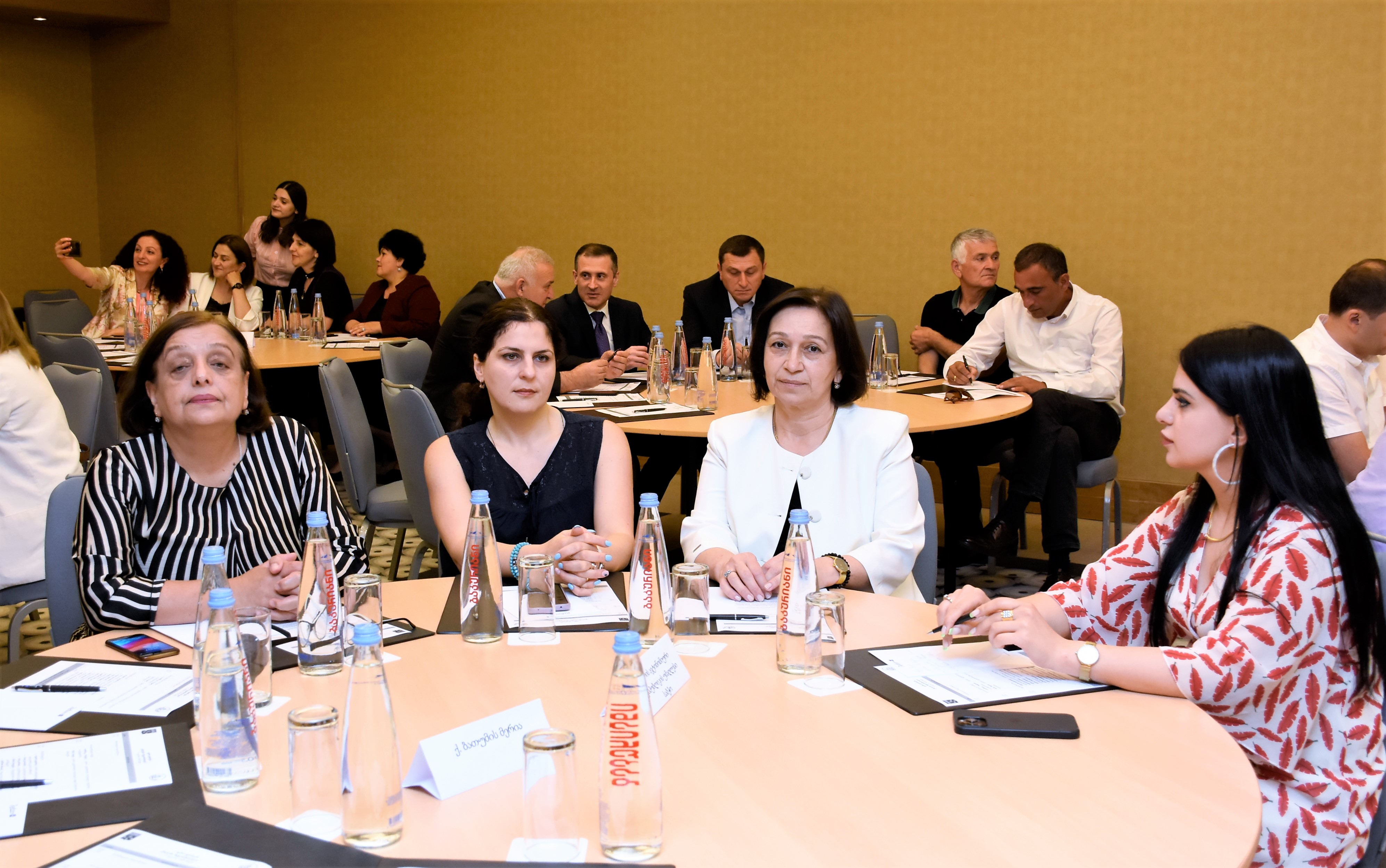 მარინე გვიანიძე და ფატი ხალვაში აგროფორუმში - „ქალები რეგიონისთვის“ მონაწილეობდნენ