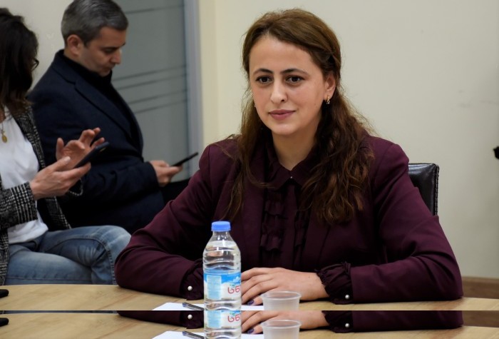 საფინანსო-საბიუჯეტო და ეკონომიკურ საკითხთა კომიტეტის სხდომაზე ელექტრონულად შემოსული პირველი პეტიცია განიხილეს