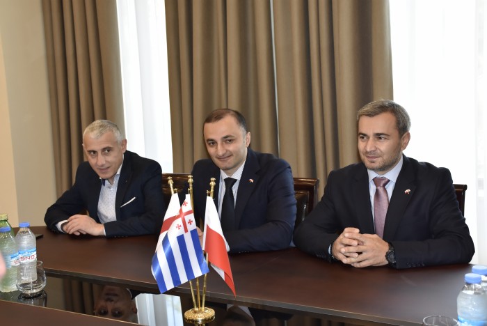 დავით გაბაიძე ბათუმში ოფიციალური ვიზიტით მყოფ ქალაქ ზიელონა გორას დელეგაციას შეხვდა