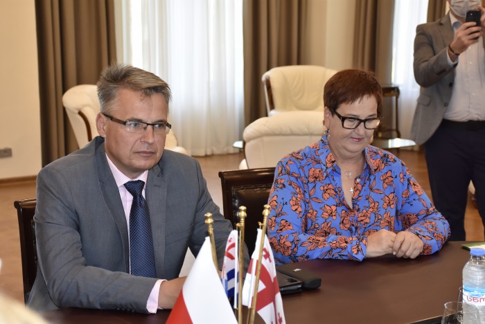 დავით გაბაიძე ბათუმში ოფიციალური ვიზიტით მყოფ ქალაქ ზიელონა გორას დელეგაციას შეხვდა