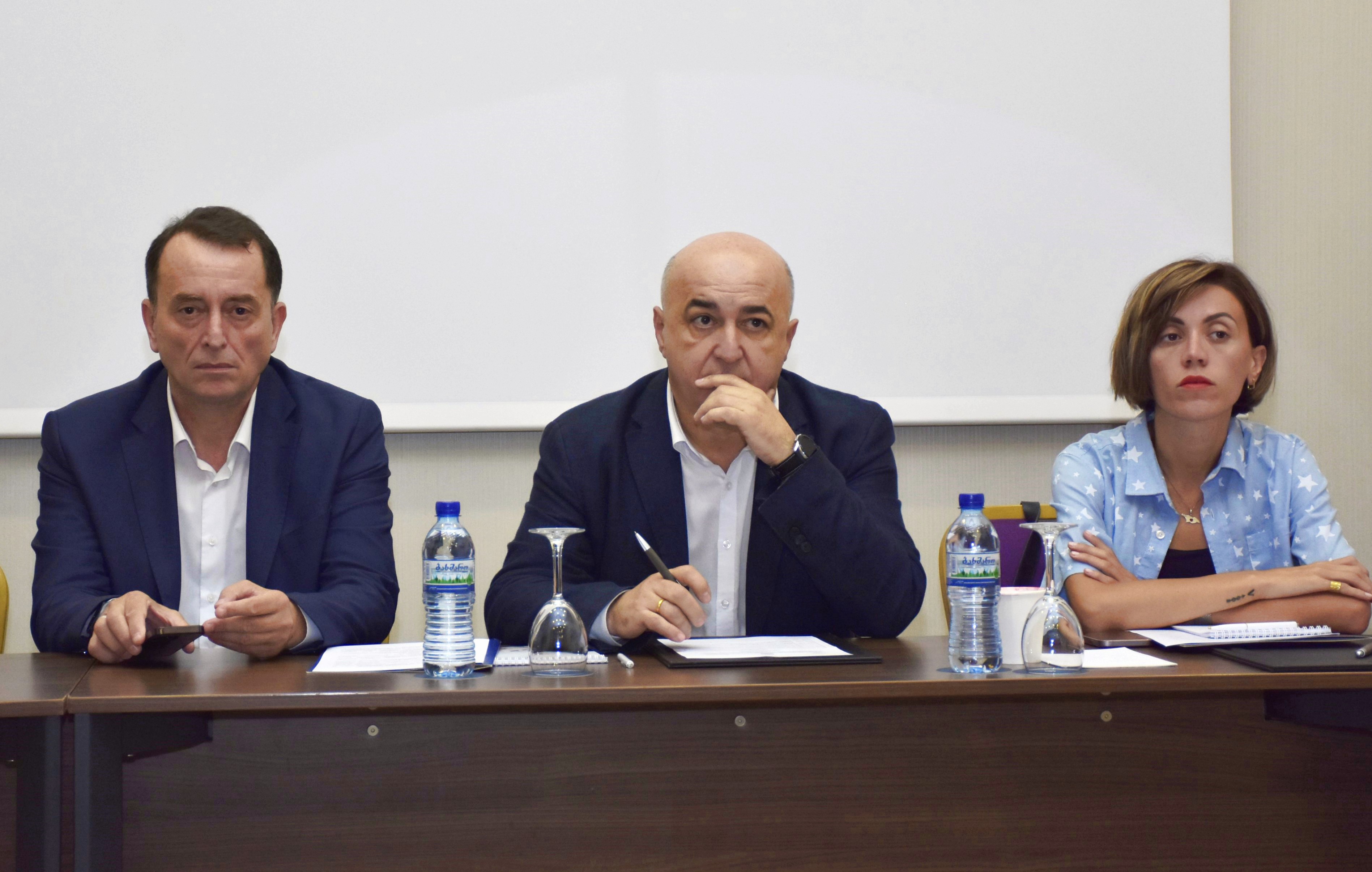 შეხვედრა საქართველოს პარლამენტის ჯანდაცვის კომიტეტის თემატური მოკვლევის ჯგუფთან