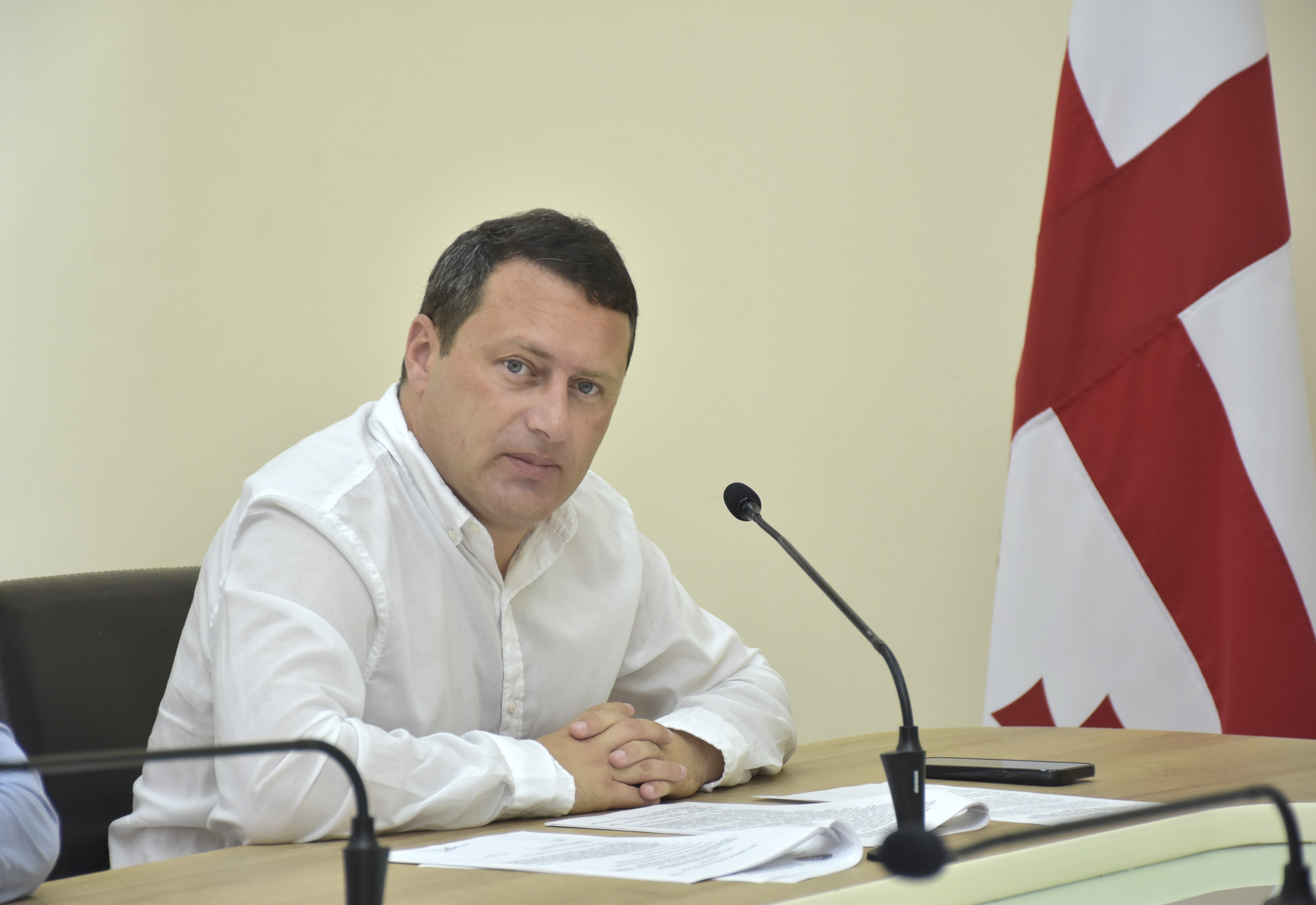 საკონსტიტუციო, იურიდიულ და საპროცედურო საკითხთა კომიტეტის სხდომა