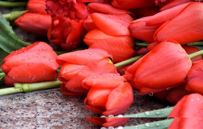 საქართველოს დამოუკიდებლობის აღდგენის დღეს, ქვეყნის თავისუფლებისათვის დაღუპულები გაიხსენეს ბათუმში