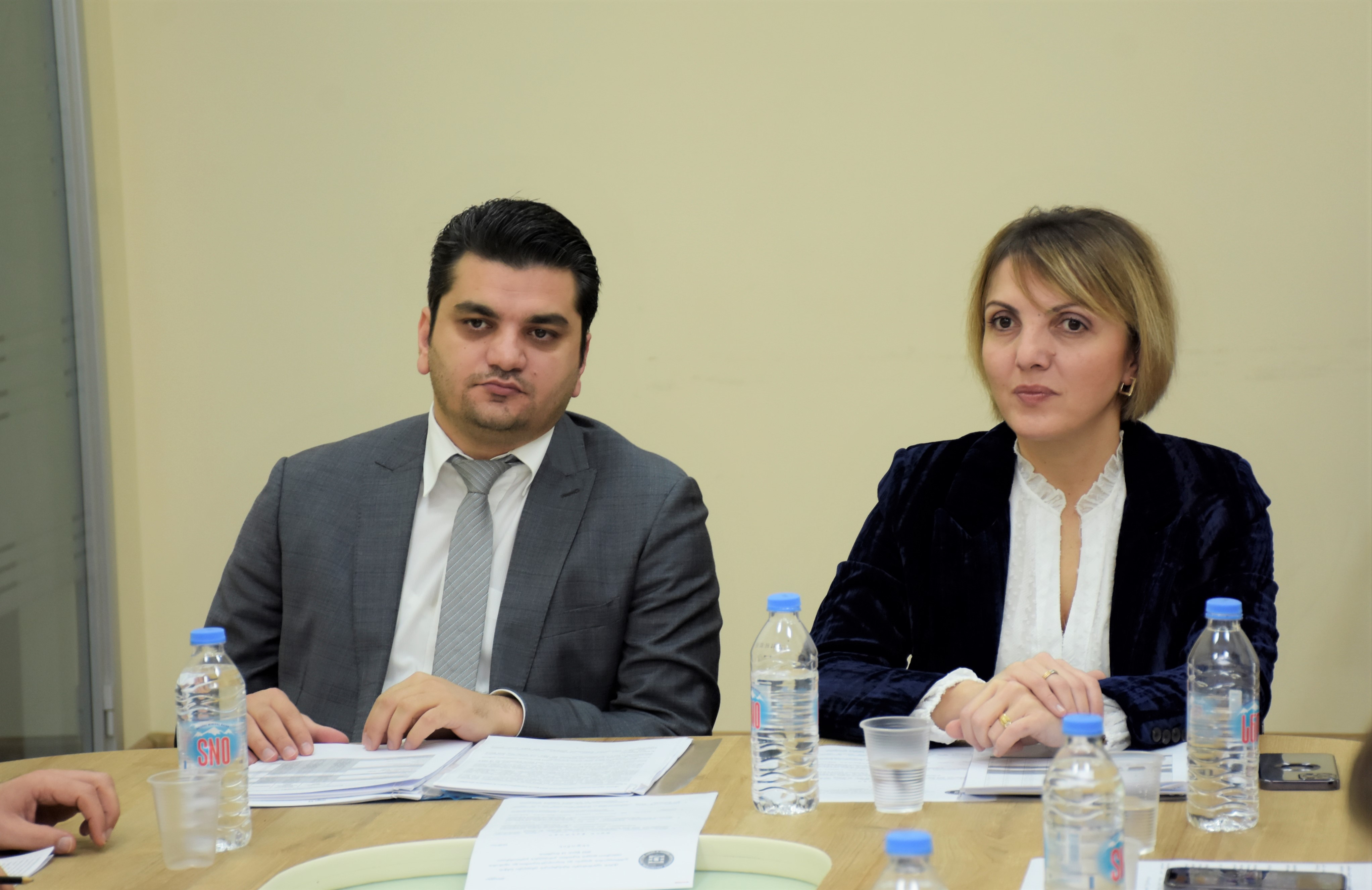 უმაღლესი საბჭოს ჯანმრთელობის დაცვისა და სოციალურ საკითხთა და ადამიანის უფლებათა დაცვის საკითხთა კომიტეტების გაერთიანებული სხდომა