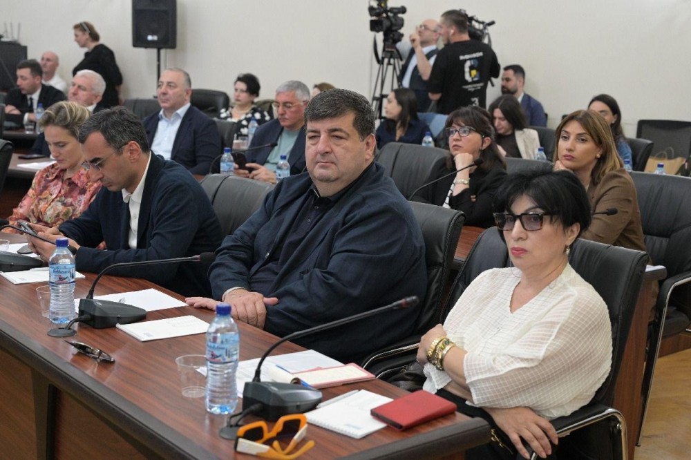       ფრიდონ ფუტკარაძე პარლამენტის დარგობრივი კომიტეტების გასვლით სხდომას დაესწრო