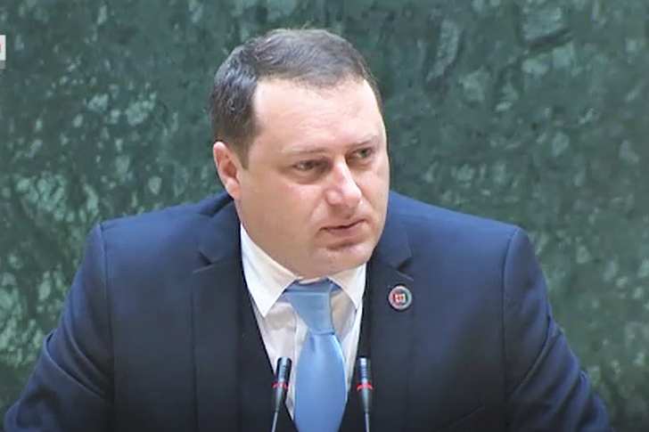 პარლამენტში ლადო მგალობლიშვილის ინიციატივა მეორე მოსმენით განიხილეს