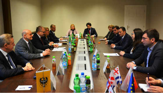 სამუშაო ვიზიტით პოლონეთში