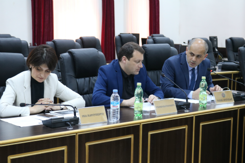 საკანონმდებლო ინიციატივას ოთხი მომხრე და ერთი წინააღმდეგი ჰყავს