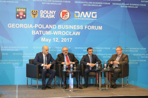 დავით გაბაიძე საინვესტიციო ფორუმს დაესწრო
