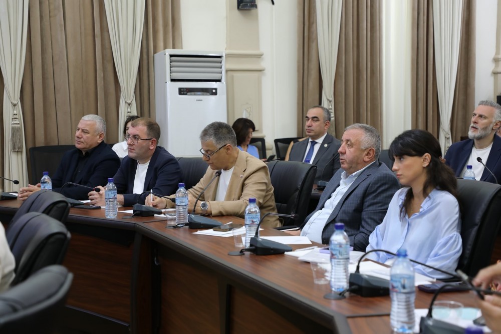       ფრიდონ ფუტკარაძე პარლამენტის დარგობრივი კომიტეტების გასვლით სხდომას დაესწრო