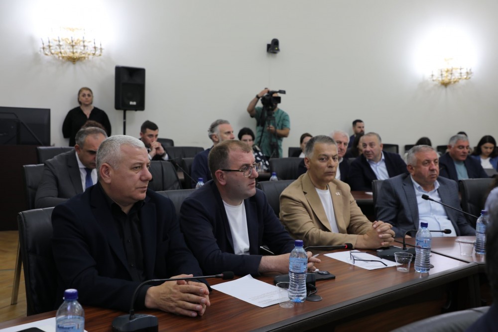       ფრიდონ ფუტკარაძე პარლამენტის დარგობრივი კომიტეტების გასვლით სხდომას დაესწრო